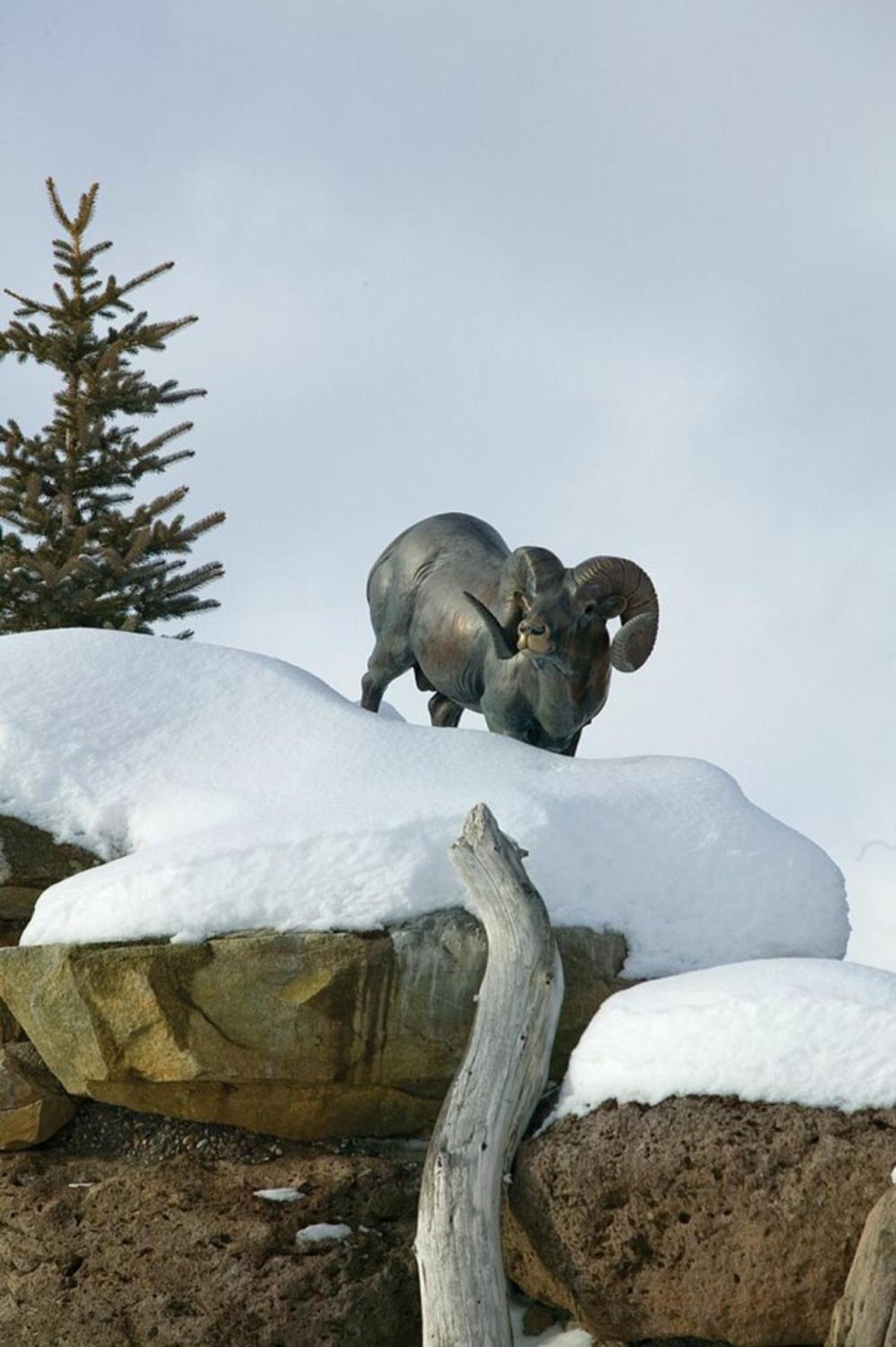 Studio Apt In Resort Setting To Explore The Beauty Of Yellowstone West Yellowstone Exterior photo